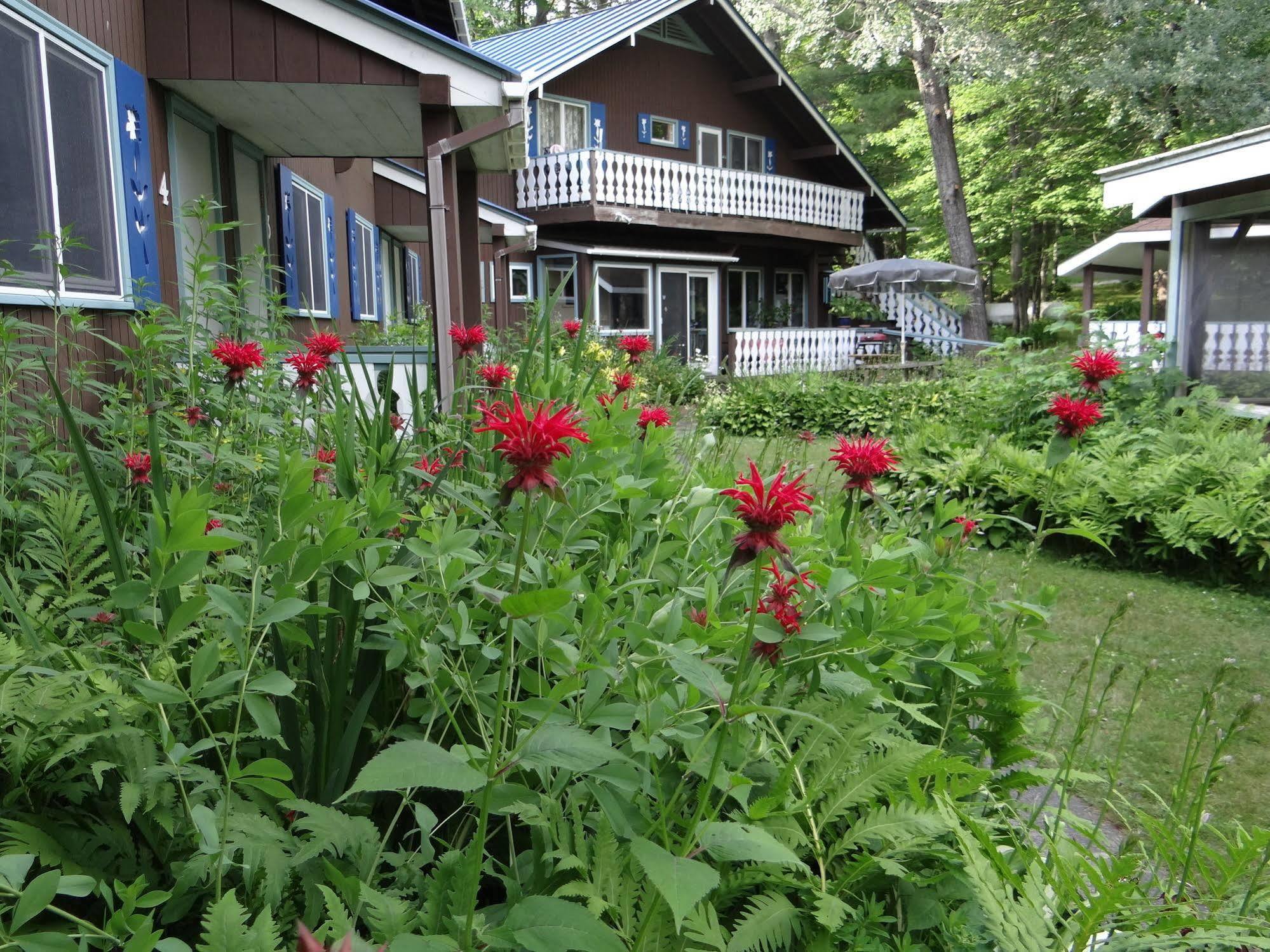 Blue Gentian Lodge At Magic Mountain Londonderry Exterior foto
